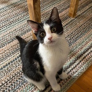 Meet your Posher, Jeneen